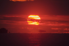 夕日