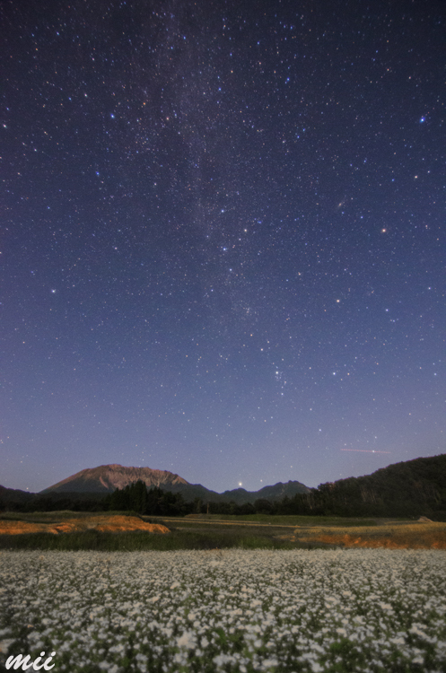 月夜の蕎麦畑と大山