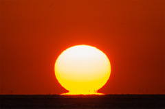 ダルマ夕陽