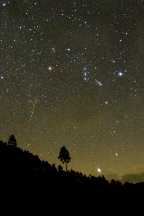 オリオン座と流星
