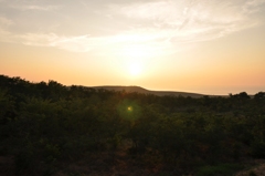 砂丘の夕暮れ