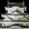 姫路城　2014.8.1　夜　おもちゃっぽい？ｗ
