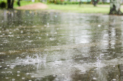 雨降りの公園