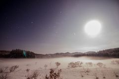 月明かりの雪原