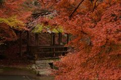 東山公園