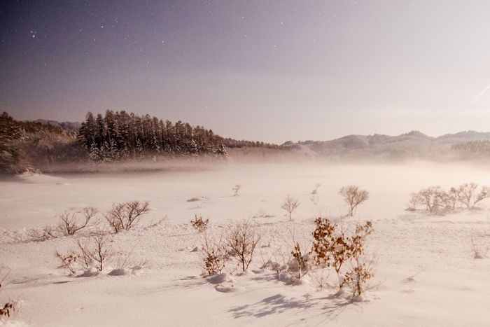 雪原　その1