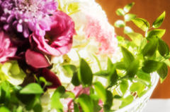 花　その1