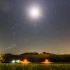 夜の菜の花畑　その1