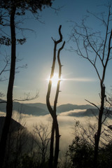 初日の出　その5