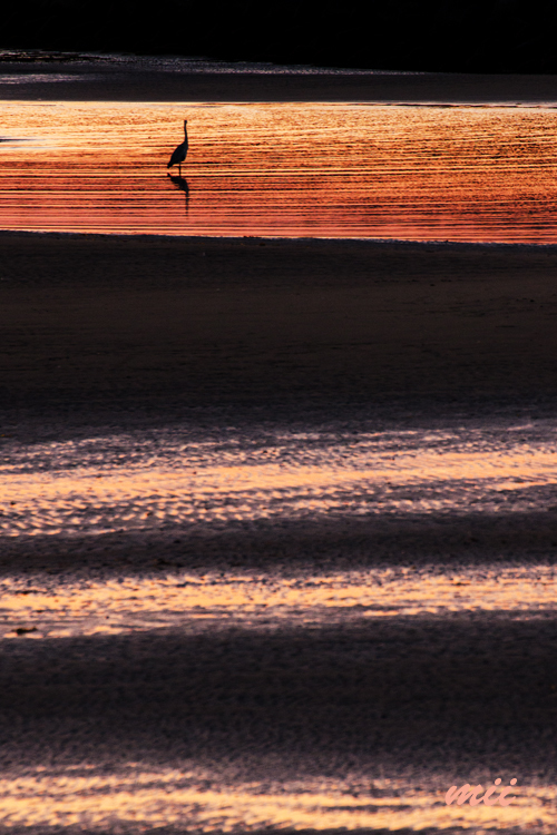 夕暮れ