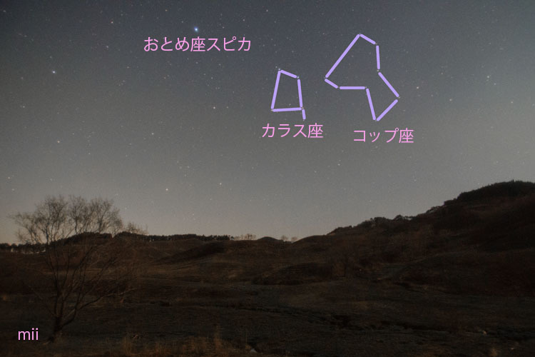 夜の砥峰　（星座の線付き）