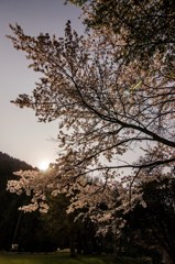 月の出