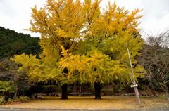 岩上神社　その1