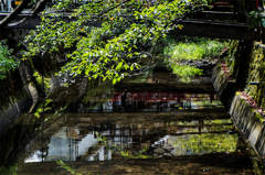 水面