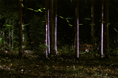 共存