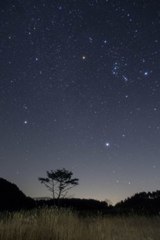 登るオリオン