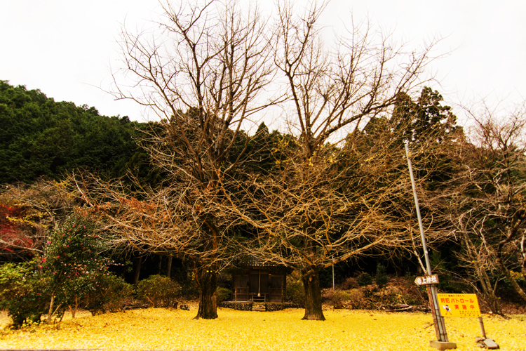 岩上神社