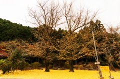 岩上神社