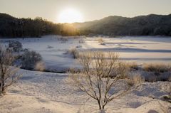 朝の雪原　その2