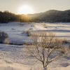 朝の雪原　その2