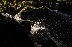 飛沫