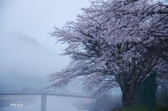 川霧に