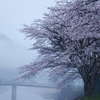 川霧に