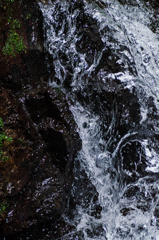 水