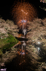 桜と花火　その6