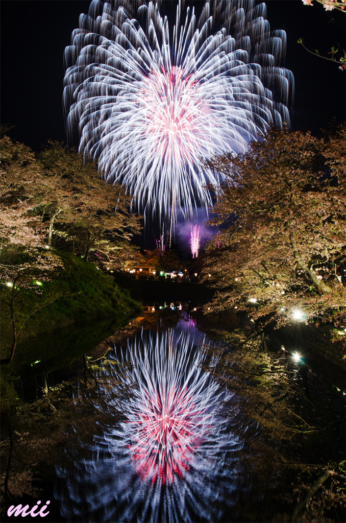 桜と花火　その3