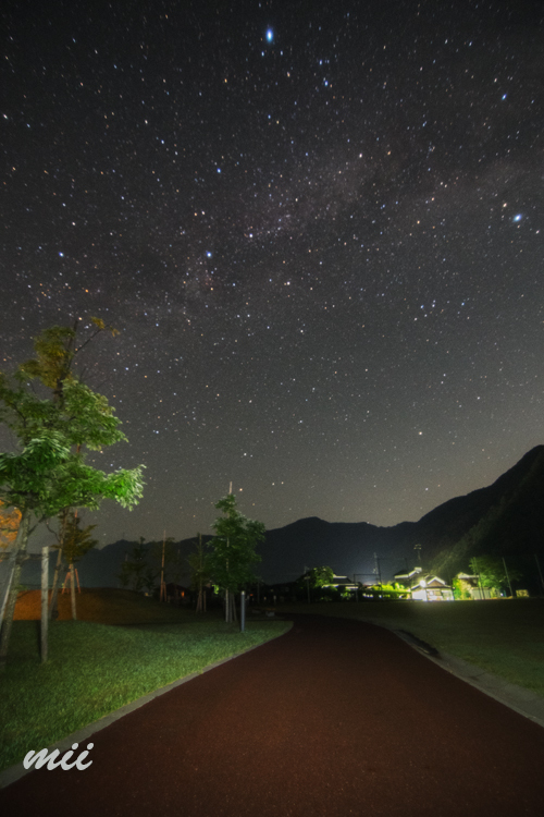 夜の公園