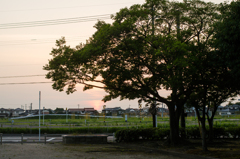 夕暮れ