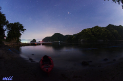 夜行虫　その4