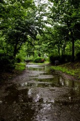 雨降り散歩　その1