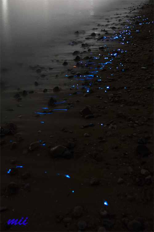 海ほたる　その2
