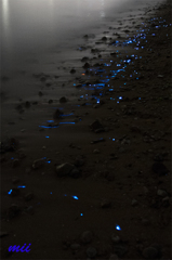 海ほたる　その2