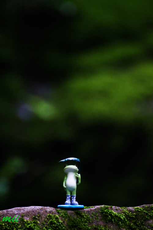 カエル　その2
