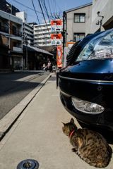 町散歩　その1
