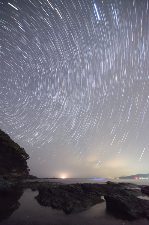 夜行虫　その1
