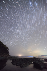 夜行虫　その1