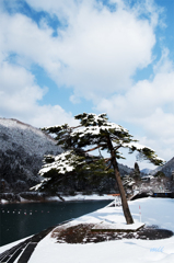 冬のダム湖