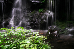 滝　その4