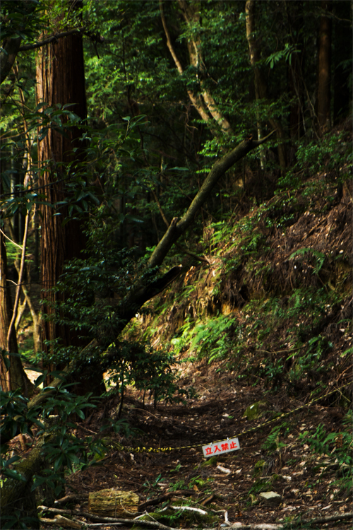 山道　その1