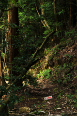 山道　その1