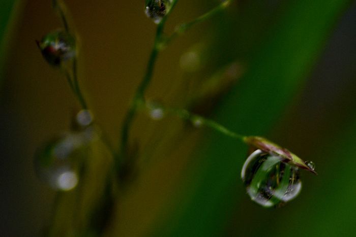 雫　その6