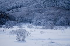 雪原