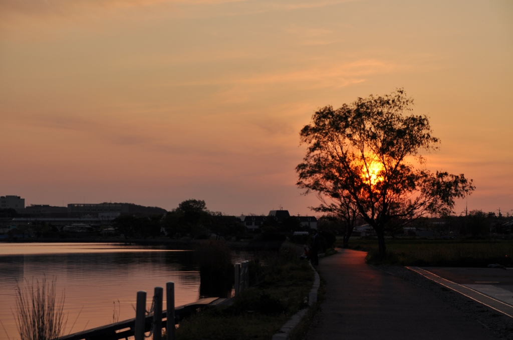 夕焼け