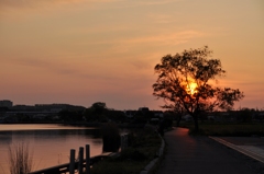 夕焼け