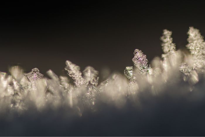 雪の結晶