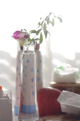 背景に林檎のある日常